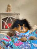 Meltaway Bay Handmade Dog Pyjamas