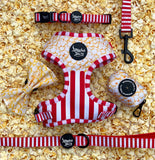 Pupcorn on Main Street Adjustable Harness