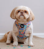 Mad Tea Pawty Adjustable Harness