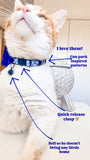 Geo Sphere 2.0 Cat Collar