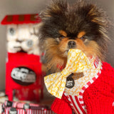Pupcorn on Main Street Adjustable Harness