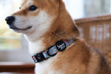 Mad Tea Pawty Collar
