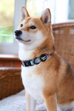 Mad Tea Pawty Collar
