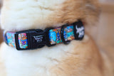Mad Tea Pawty Collar
