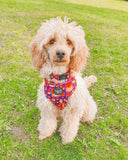 Lantern Festival Adjustable Harness