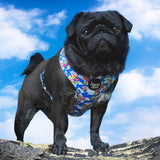 Spirit of Adventure Adjustable Harness