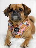 Snack Empawium Adjustable Harness
