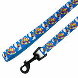 Spirit of Adventure Lead