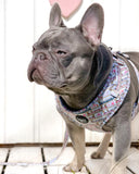 Monorail Mayhem Adjustable Harness