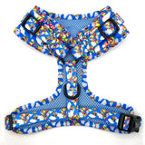 Spirit of Adventure Adjustable Harness