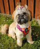 Lantern Festival Adjustable Harness