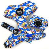 Spirit of Adventure Adjustable Harness