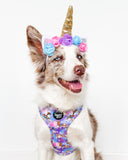 Enchanted Carousel Adjustable Harness