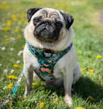 Wildflower Maze Adjustable Harness
