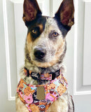Snack Empawium Adjustable Harness