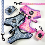 Geo Sphere 2.0 Adjustable Harness
