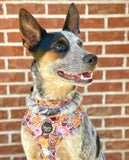 Snack Empawium Adjustable Harness