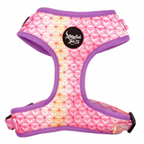 Geo Sphere Adjustable Harness