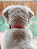 Geo Sphere Collar