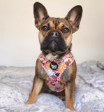 Snack Empawium Adjustable Harness