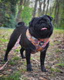Snack Empawium Adjustable Harness