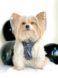 Hyper Speedster Adjustable Harness