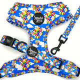 Spirit of Adventure Adjustable Harness