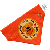 I have Just Met You and I Love You Snap & Go Handmade Bandana