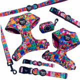 It's a Small Woof Adjustable Harness
