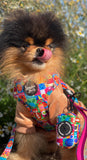 It's a Small Woof Adjustable Harness