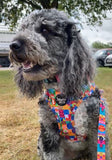 It's a Small Woof Adjustable Harness