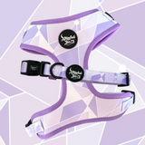 Purple Wall Adjustable Harness
